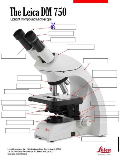 you analyze two substances in the laboratory|Module 1 LAB 1 Flashcards .